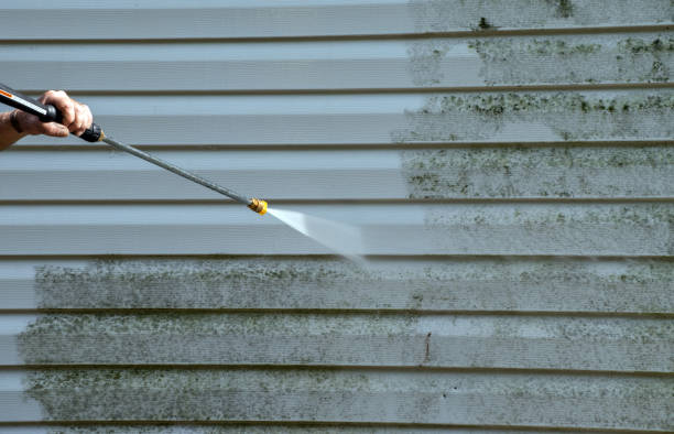 Best Residential Pressure Washing Services  in Zephyrhills West, FL