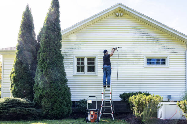 Best Pressure Washing Patio  in Zephyrhills West, FL