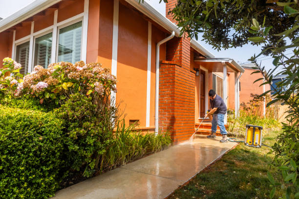 Best Deck Pressure Washing  in Zephyrhills West, FL