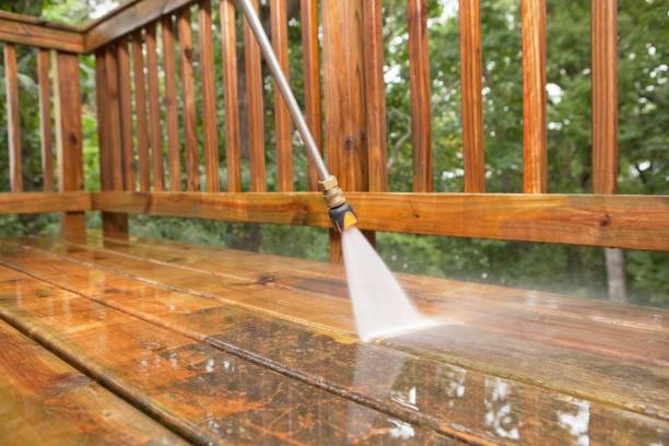 Best Pressure Washing Contractors  in Zephyrhills West, FL